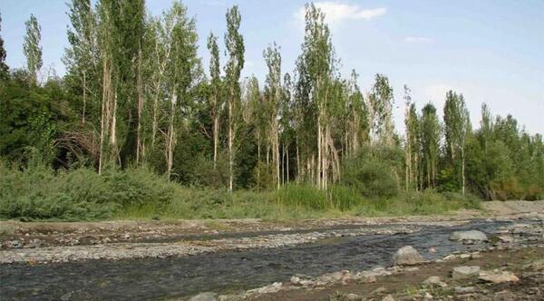 عکس های طبیعت کاشمر
