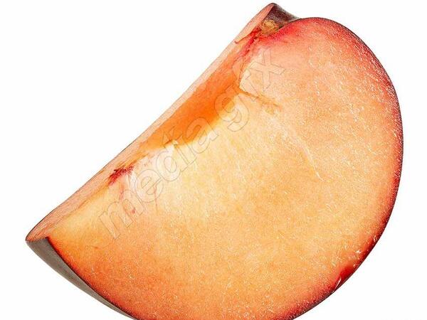 دانلود عکس آلو سیاه