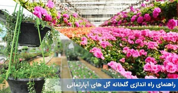 عکس گلخانه گل های آپارتمانی