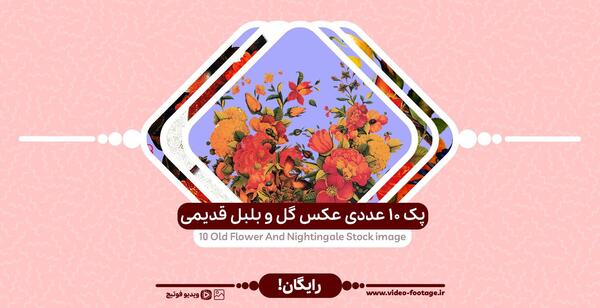 دانلود عکس گل و بلبل