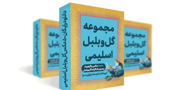 دانلود عکس گل و بلبل