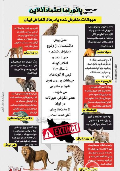 عکس حیوانات در ایران