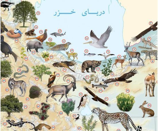عکس حیوانات در ایران