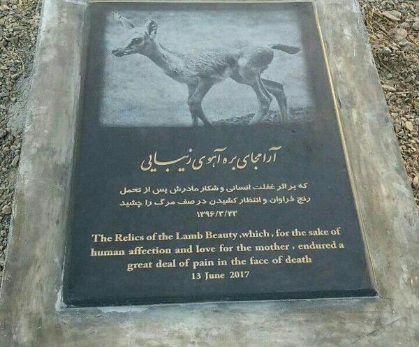 عکس حیوانات در ایران