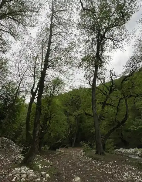 عکس طبیعت ساری