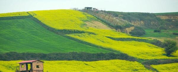 عکس طبیعت ساری