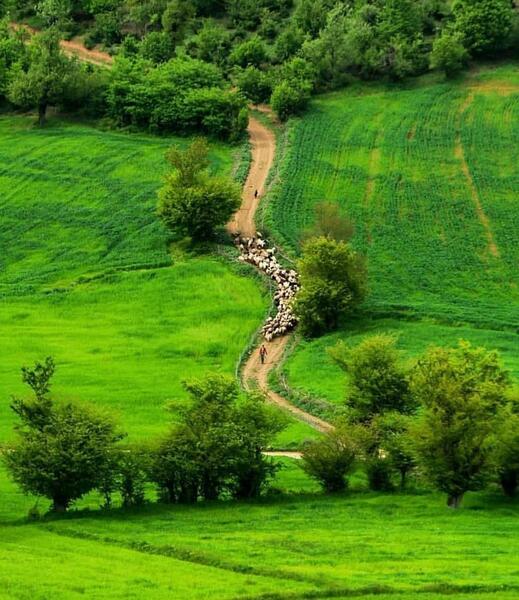 عکس طبیعت ساری