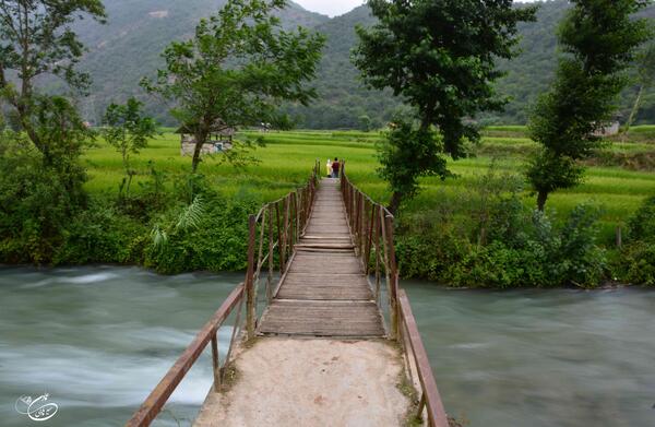 عکس طبیعت ساری