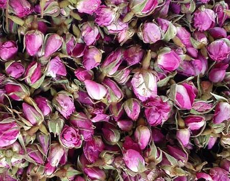 عکس غنچه گل محمدی