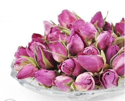 عکس غنچه گل محمدی
