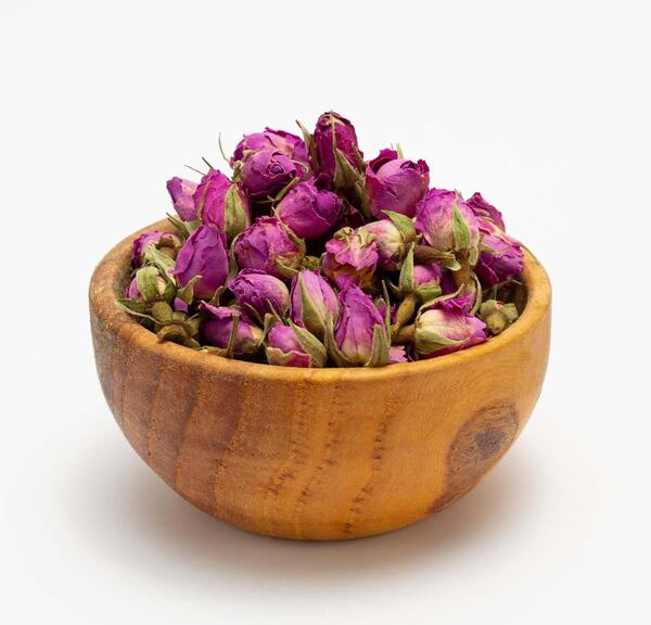 عکس غنچه گل محمدی