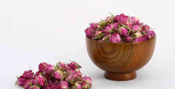 عکس غنچه گل محمدی