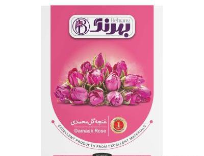 عکس غنچه گل محمدی