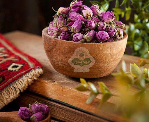 عکس غنچه گل محمدی