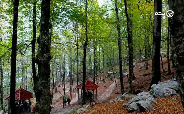 عکس از طبیعت نمک آبرود