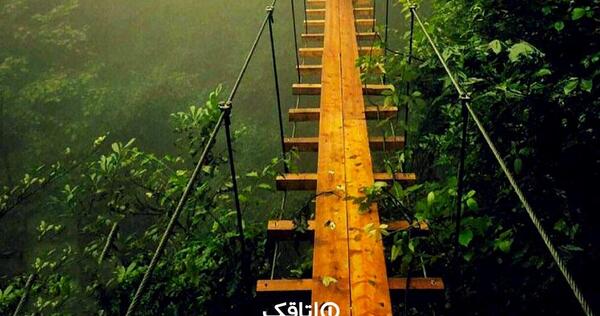 عکس از طبیعت نمک آبرود