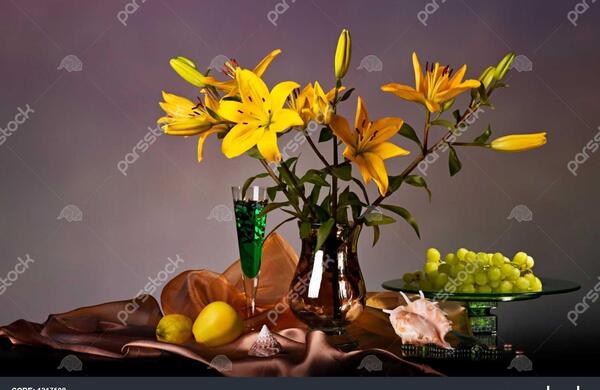 عکس هایی از طبیعت بی جان
