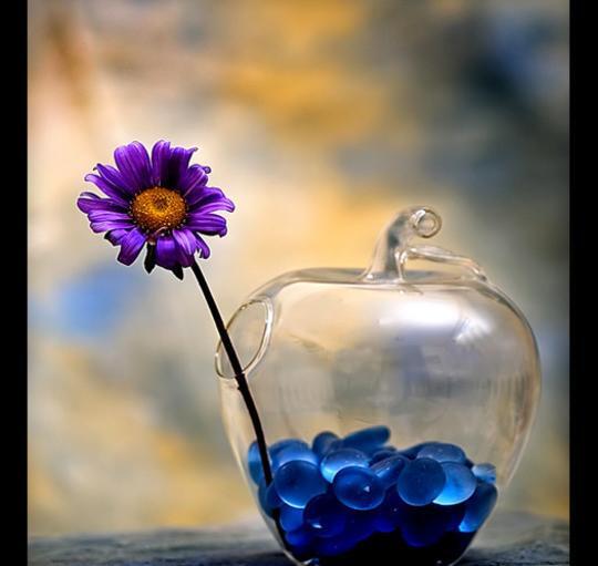 عکس هایی از طبیعت بی جان
