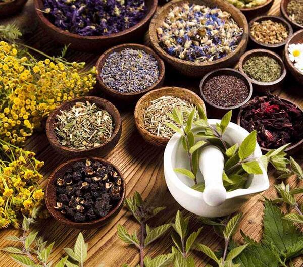 عکس گیاهان دارویی در ایران
