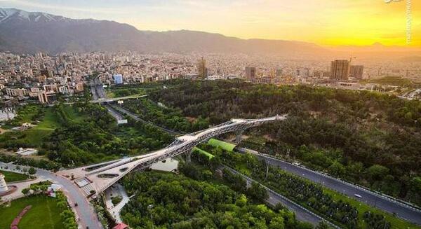 عکس زیبا از پل طبیعت