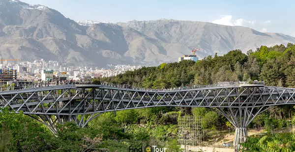 عکس زیبا از پل طبیعت