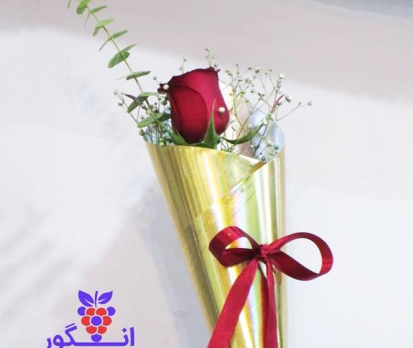 عکس گل تک شاخه