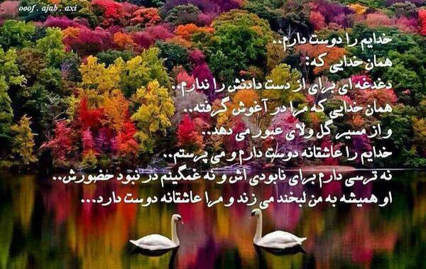 عکس عاشقانه از طبیعت