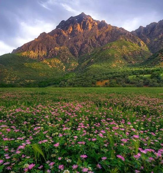 عکس زیباترین طبیعت ایران