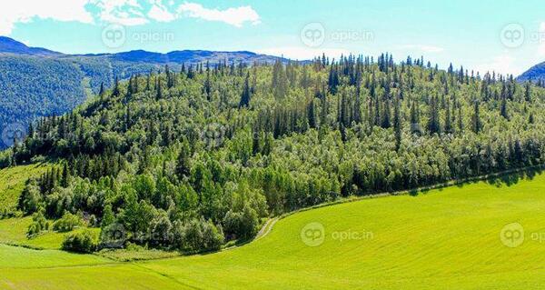 دانلود عکس طبیعت شمال ایران