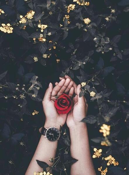 عکس غمگین مرگ دختر