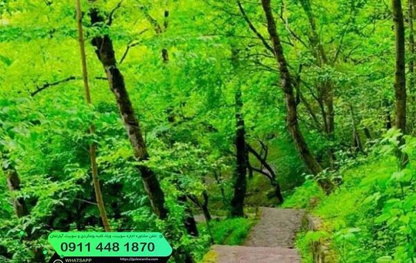 عکس های طبیعت رامسر
