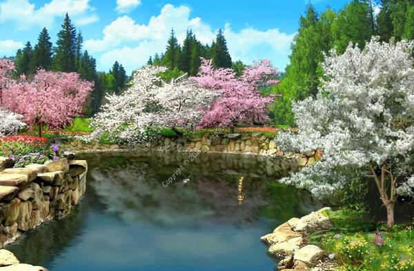 دانلود عکس طبیعت فصل بهار