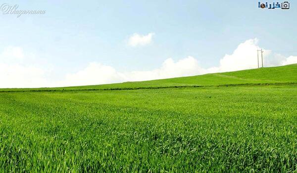 عکس طبیعت سرسبز و زیبا