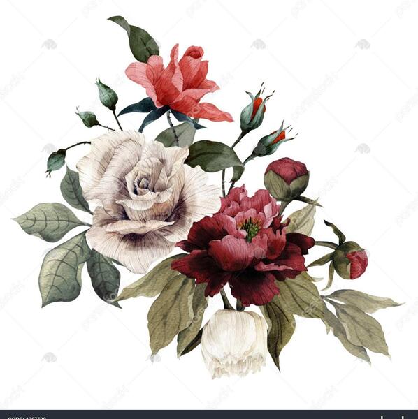عکس گل پونه ها