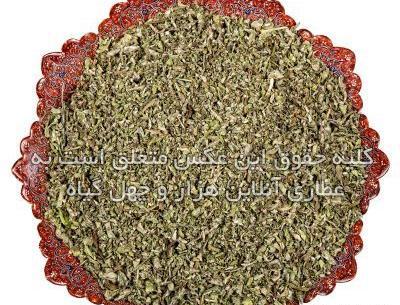 عکس گل پونه ها