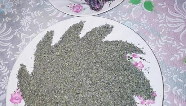 عکس گل پونه ها