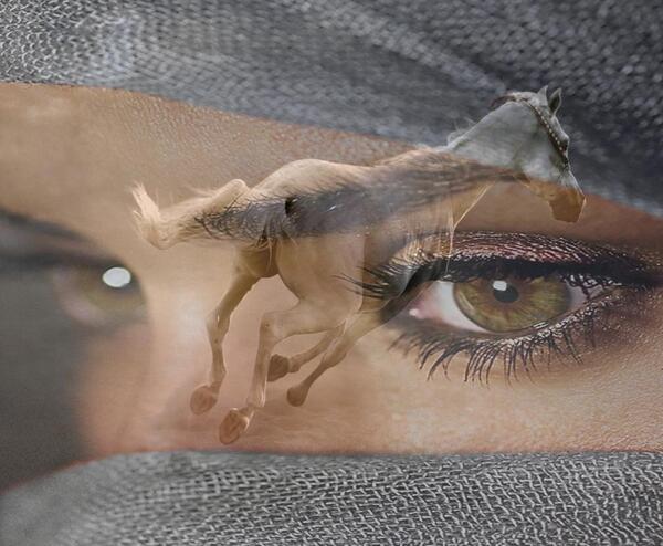 عکس گل پونه ها
