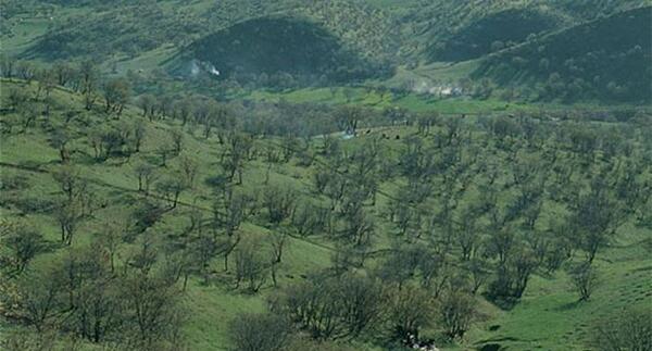 عکس هایی از طبیعت کوهدشت