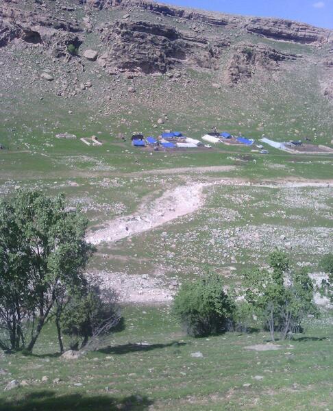 عکس هایی از طبیعت کوهدشت