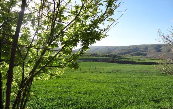 عکس هایی از طبیعت کوهدشت