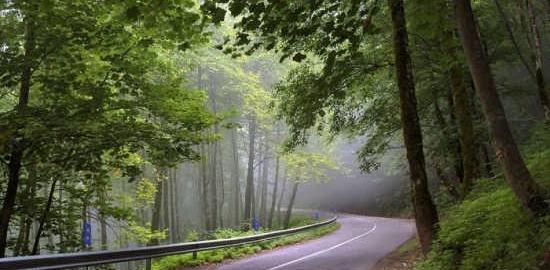 عکس واقعی طبیعت شمال