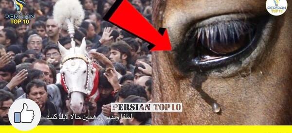 دانلود عکس امام حسین با اسب