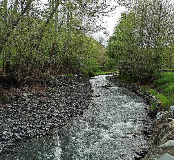 عکس طبیعت گردی مشهد