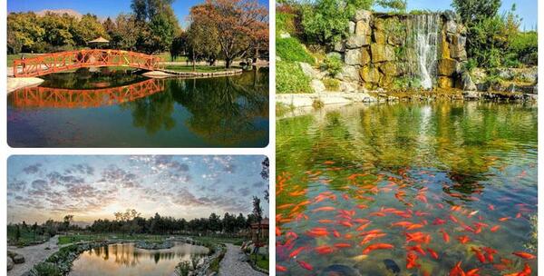 عکس طبیعت گردی مشهد