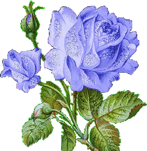 عکس گل کارتونی متحرک
