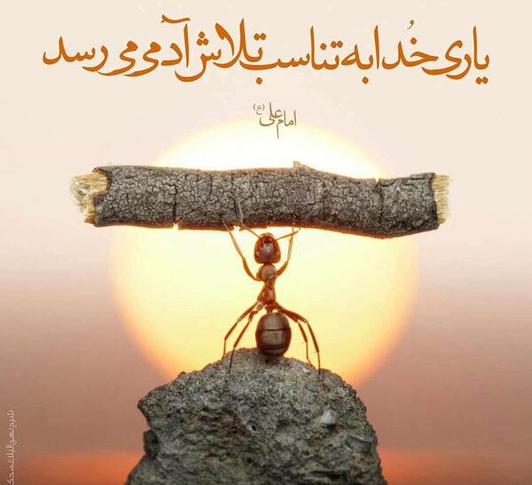 دانلود عکس الله یاری