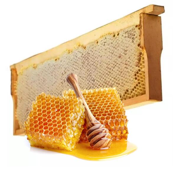 عکس عسل طبیعی با موم
