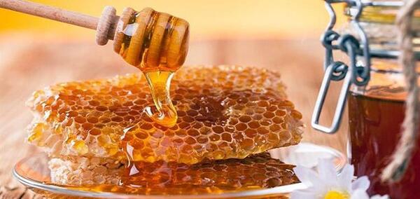 عکس عسل طبیعی با موم