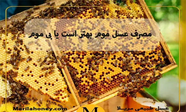 عکس عسل طبیعی با موم