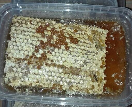 عکس عسل طبیعی با موم